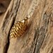 Pine Cone Necklace