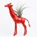 Giraffe Planter with Air Plant Room Decor, College Dorm Ornament, Plants and Edibles, Red Geekery