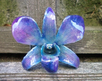 Free Shipping REAL Natural Shades of Blue and Magenta ORCHID Pin and Pendant