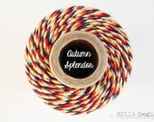 SALE - Autumn Splendor Bakers Twine by Timeless Twine - 1 Spool (160 Yards)