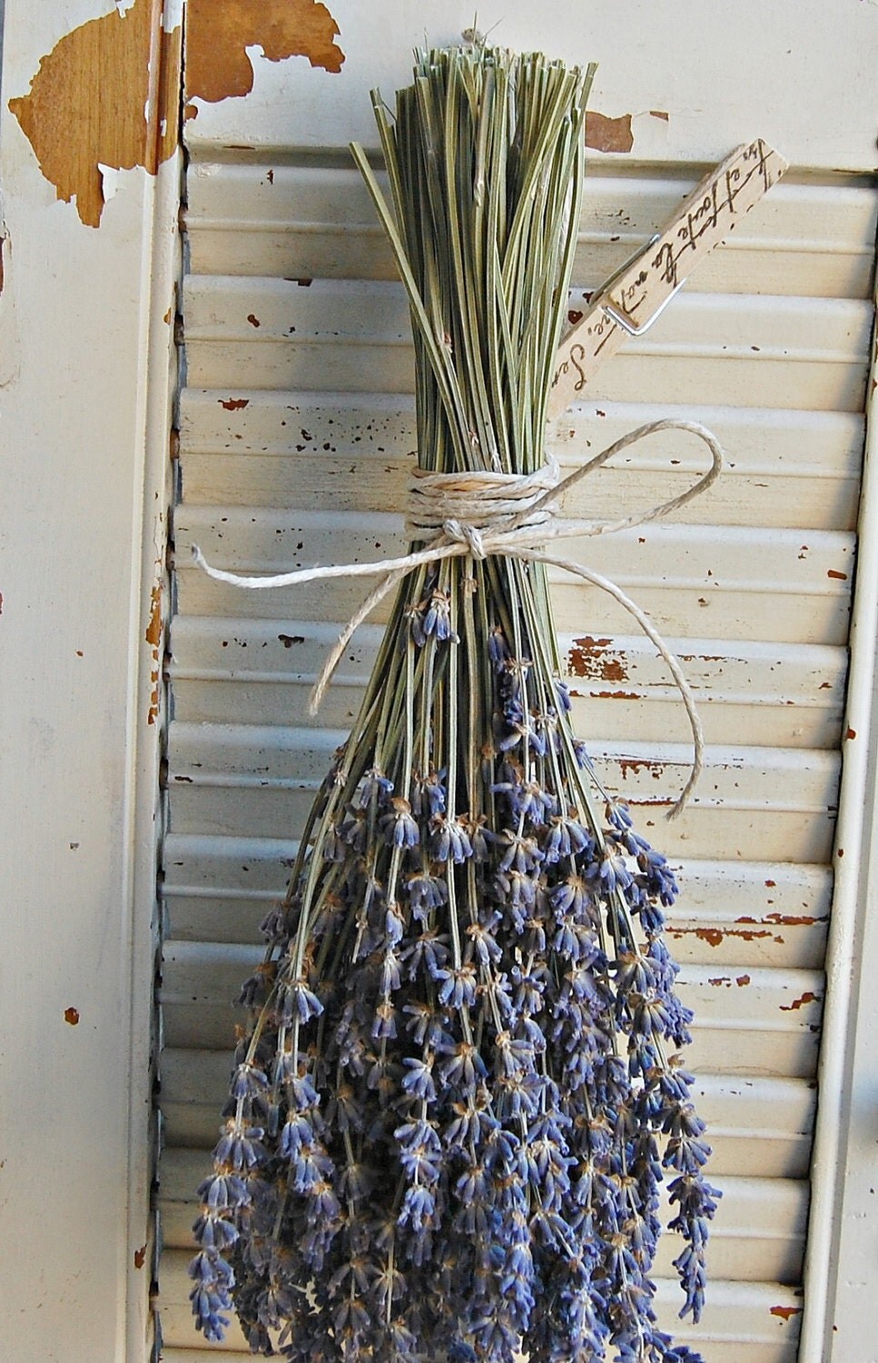 Ten Bunches Dried Lavender / Lavender Bouquet / French