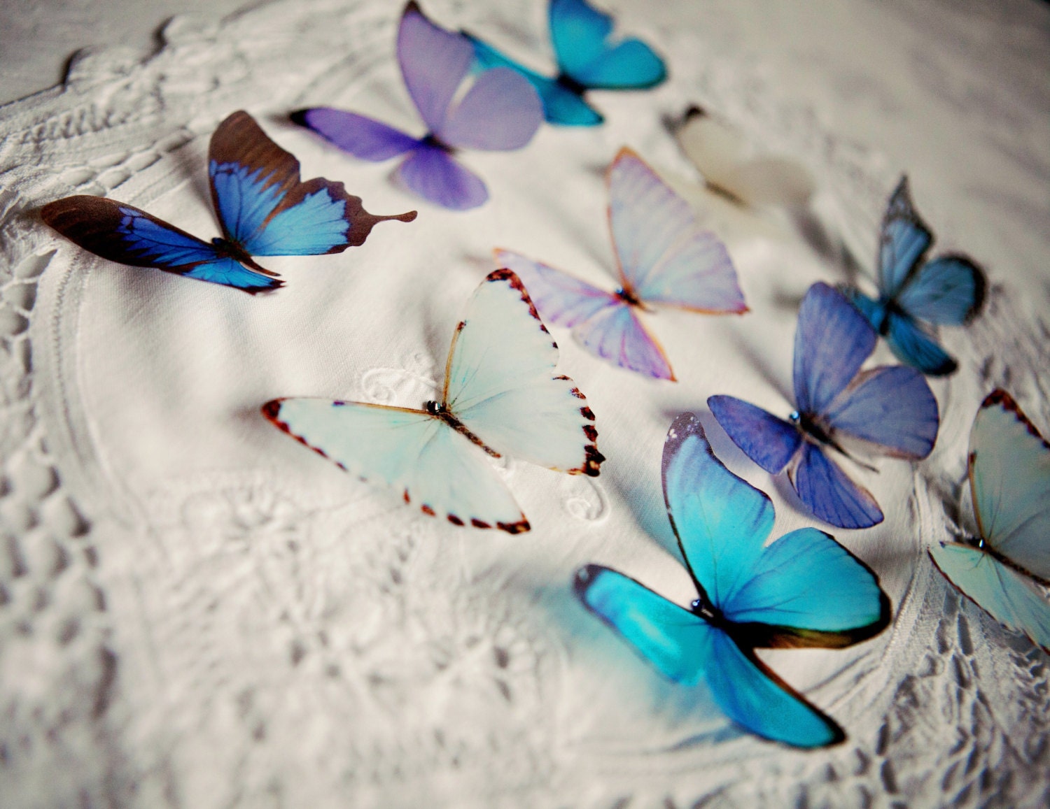 Delicate Frosted Paper Butterfly decorations hand cut with