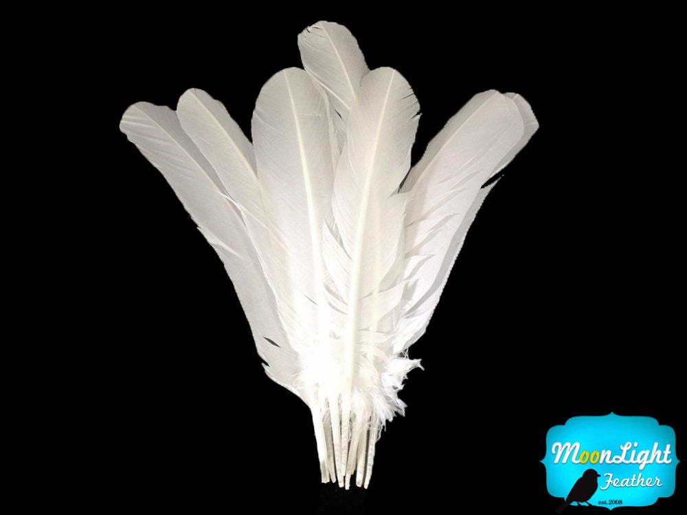 wholesale-turkey-wing-feathers-1-4-lb-white-turkey-rounds