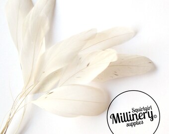 Stripped Coque Feather Hat Mount Ivory (10 Feathers) for Millinery & Fascinators