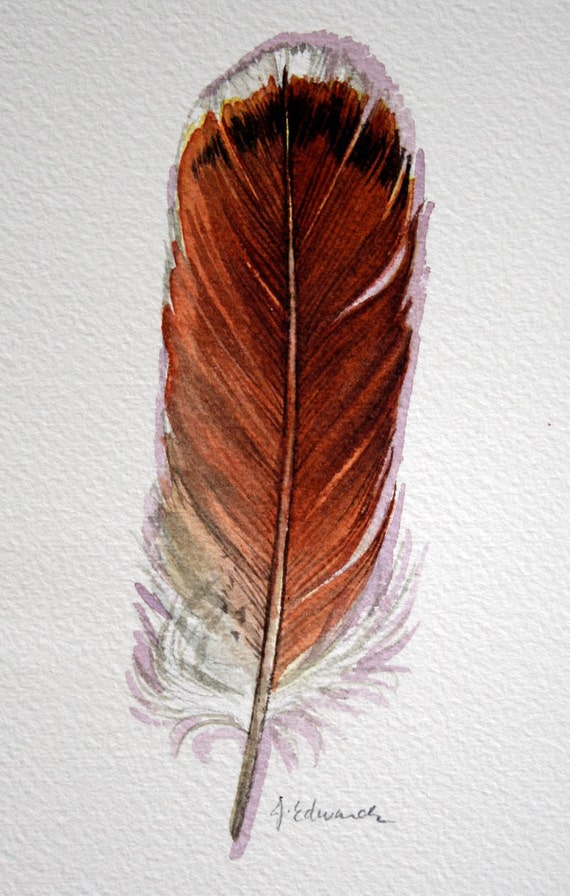 Red Tailed Hawk Feather Original Watercolor by jodyvanB on Etsy