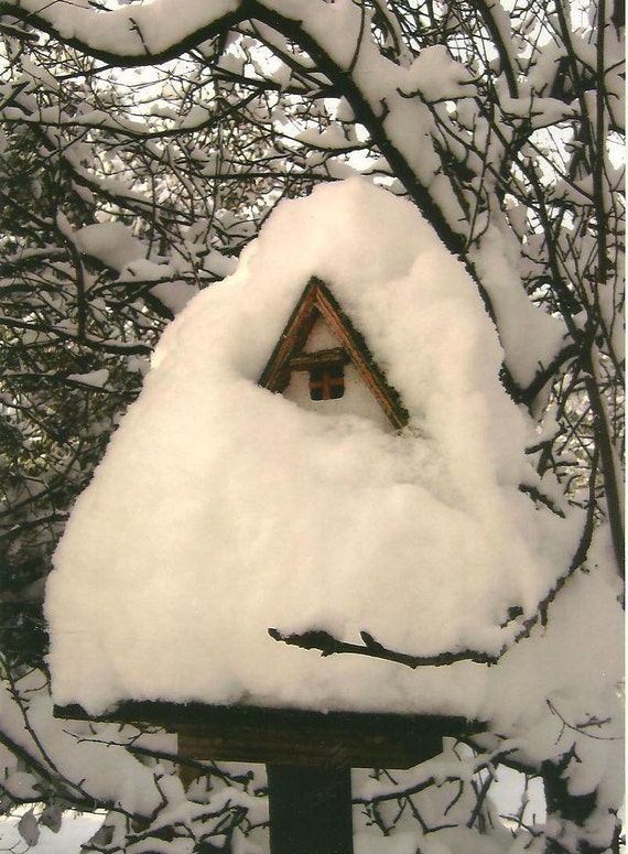 Snow Covered Bird House on Blank Photo Note Card Fresh White Snow Nature Photography