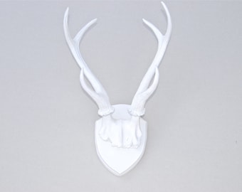 White Deer Antlers Wall Decor