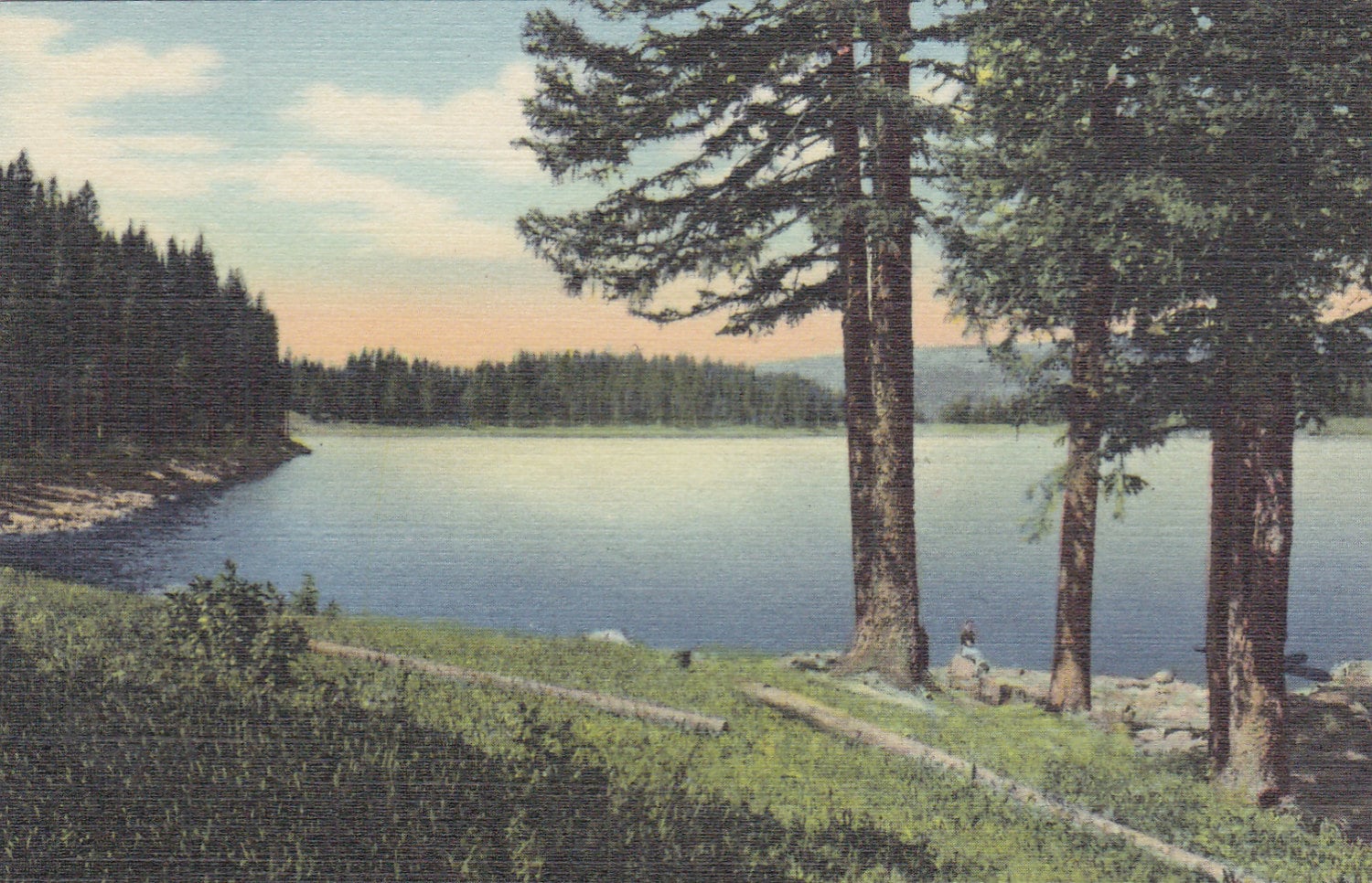 Ward Lake on Grand Mesa Colorado Vintage by postcardsofthepast