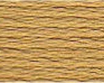 Perle Cotton Size 5 DMC Color 834 - SKEIN