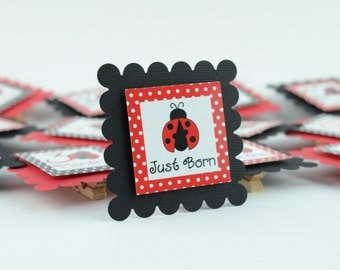 Lady Bug 12 Month Photo Banner, First Year Photo, First Year Banner, Black and Red Dots, Lady Bug Theme, c-1022