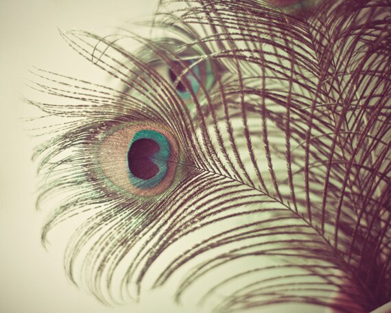 The Eye Peacock Feather Fine Art Photography by BelAtelier