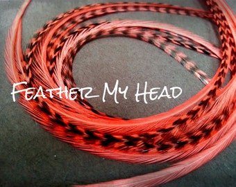10 Whiting Grizzly Feather Extension Saddle Hackle Extra Long Hair Feathers 9-12 inches Salmon