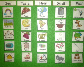 centers five felt in preschool five  feel  or senses senses  smell senses see set hear match taste