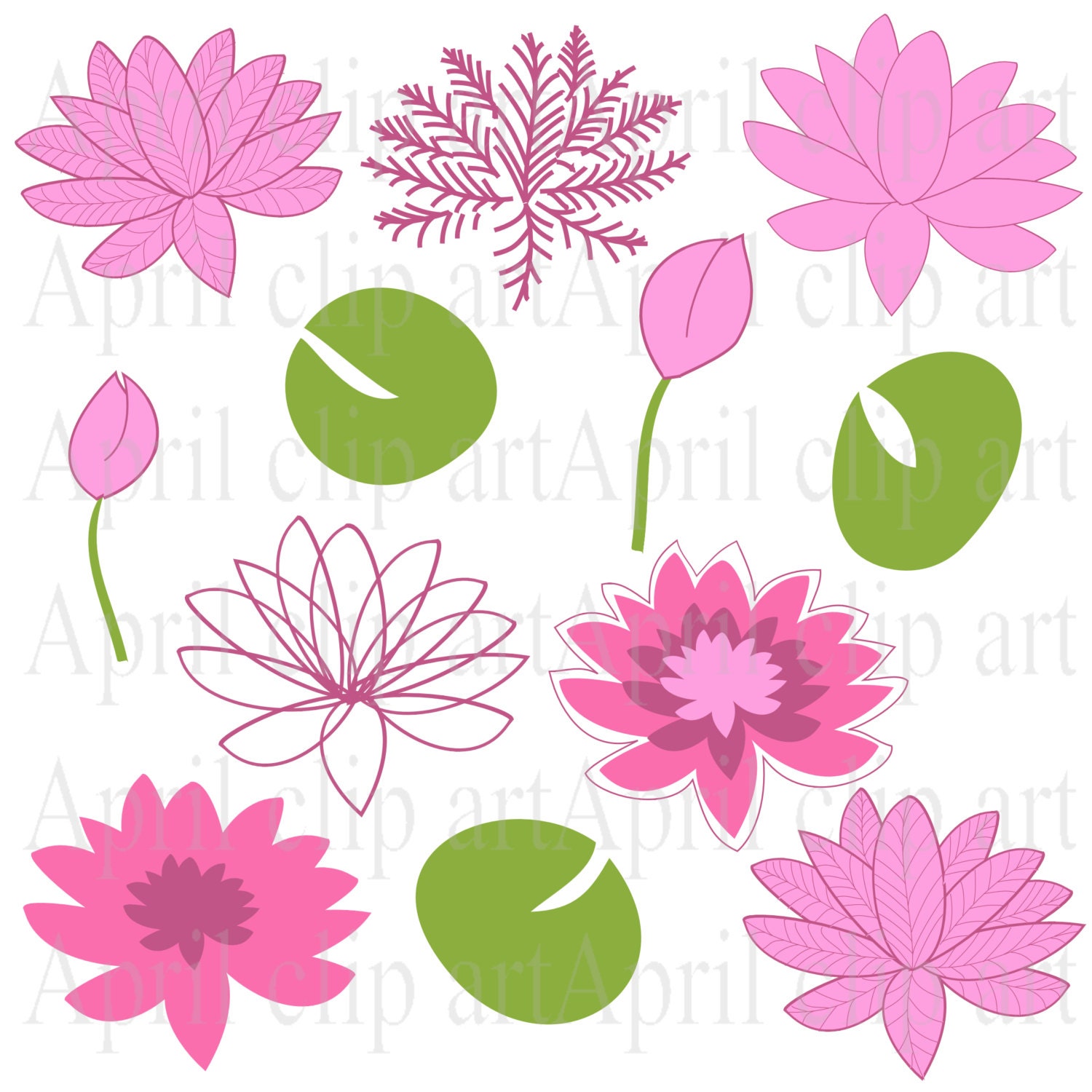 clipart water lily - photo #31