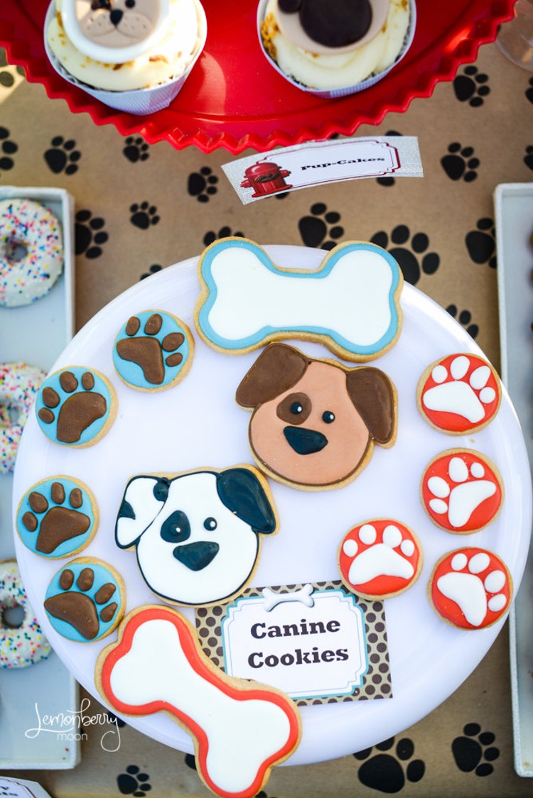 6 Tips For Planning Your Dog Birthday Party