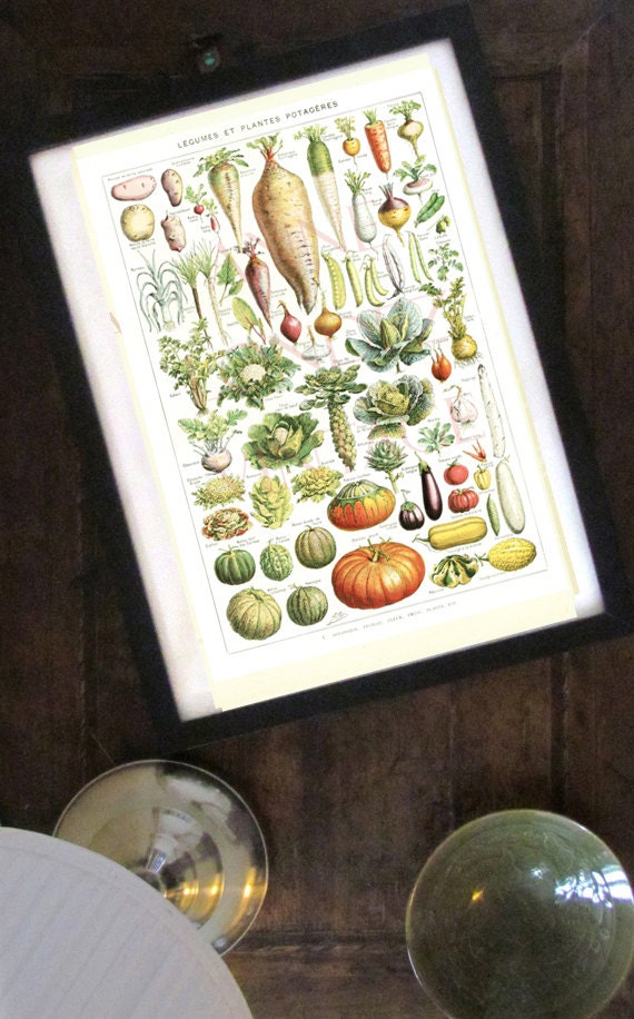 1948 Vintage kitchen decor Vegetable poster Antique botanical