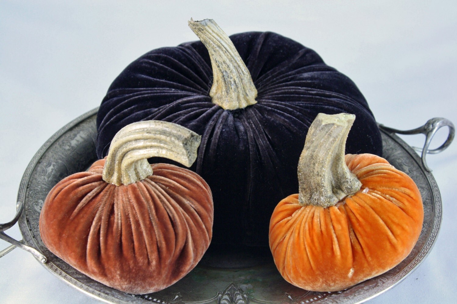 pumpkin stem