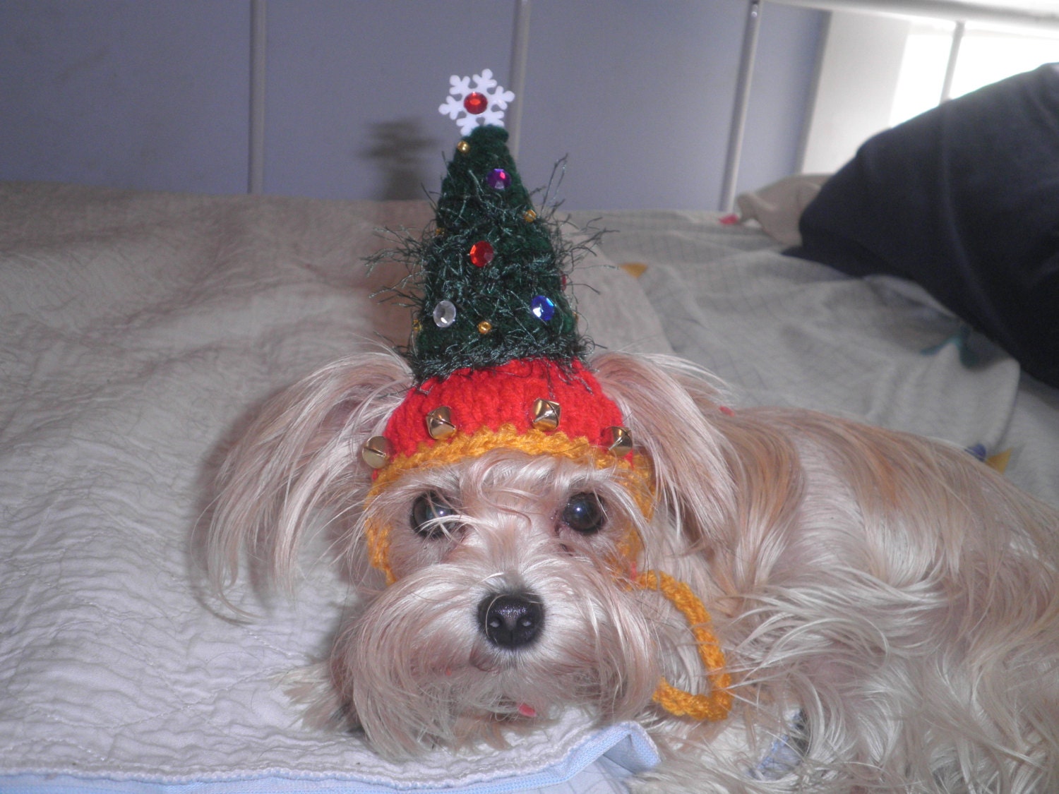 Crocheted Christmas Tree Hat for Dog or Cat Holiday Jingle