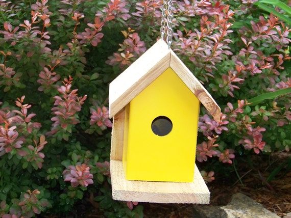 Yellow Bird House