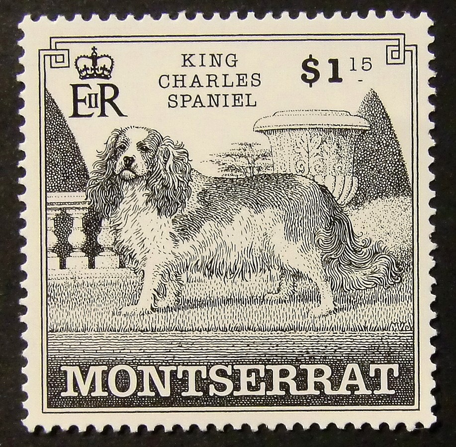 Cavalier King Charles Spaniel Handmade Framed Postage Stamp