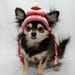Dog Hat, Valentines Day, Red, White, and Pink wool, Xsmall, Small, Medium