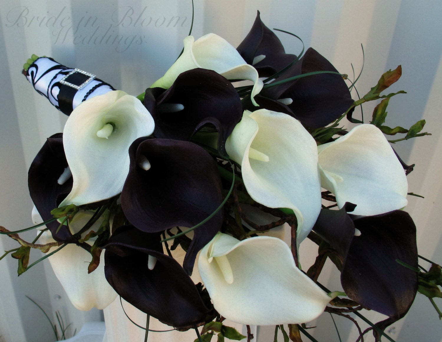 Real Black And White Roses