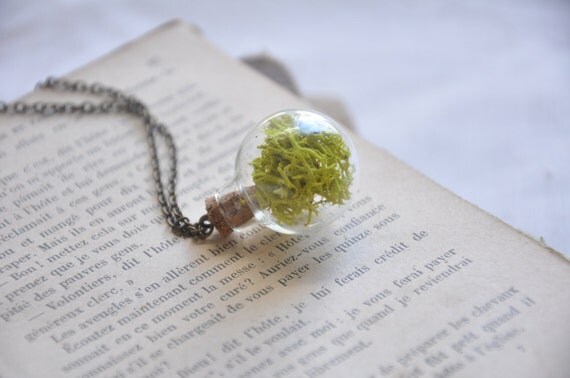 Belle Hibou: Glass Orb Terrarium Necklace