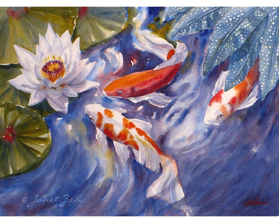 Koi Fish Original Watercolor Painting 11x14 Waterlily Pond Art