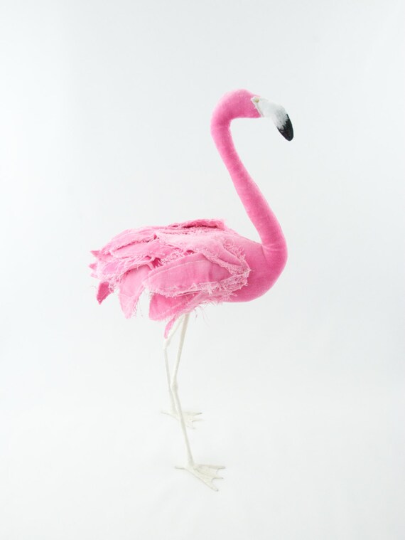 Pink flamingo bird