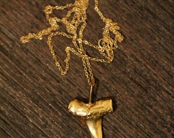 Shark tooth necklace - gold shark tooth necklace - a 22k gold plated sterling silver sharks tooth on a 14k gold vermeil chain