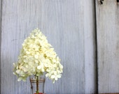 vintage wee hand painted vase // glass with gold details