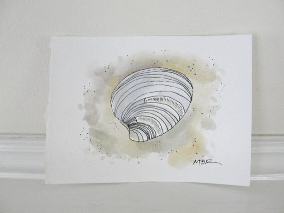 Beach Seashell Watercolor Painting Ink Drawing Quahog Clam