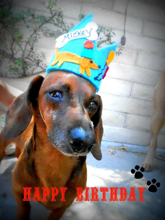 Dog hat crown dog birthday birthday crown doggie dog hat