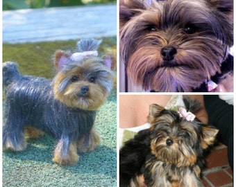 Needle Felted Dog / Custom Pet Portrait / Your Pet in Miniature / Cute / Poseable / Personalized gift / example Yorkie
