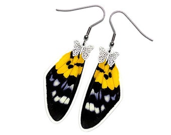 Real Butterfly Wing Earrings (Militaris Forewing - E070)