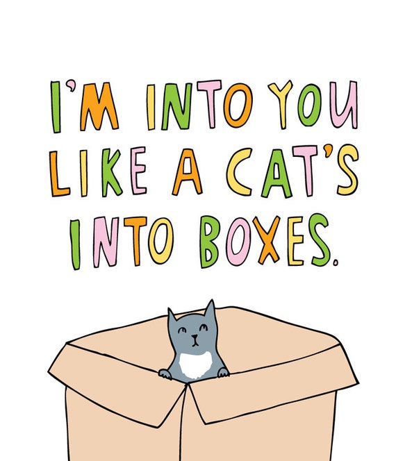 Romantic Card I'm Into You Like A Cat's Into Boxes