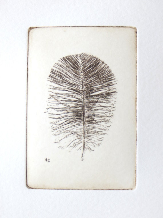 original etching of a feather by atelier28 on Etsy