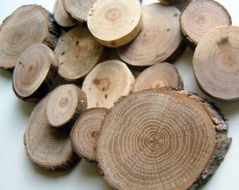 100 Assorted Blank Tree Branch Slices 1 to 2 inch DIY Wedding