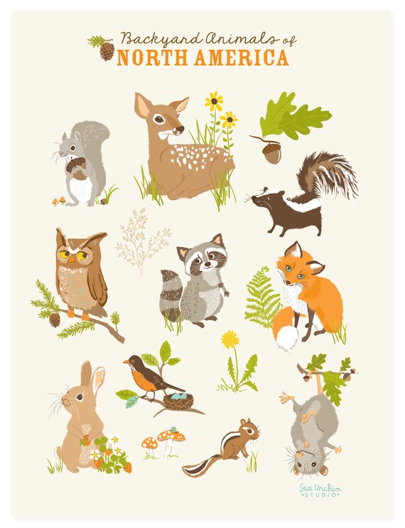 woodland animal wall art Animals of North America art for