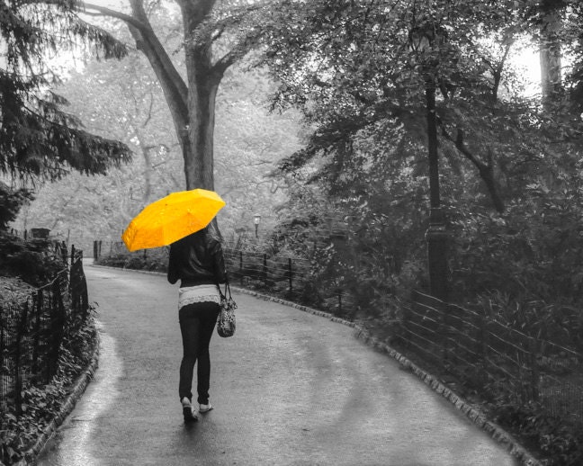 New York Photograph Central Park Photo Spring Rain nyc