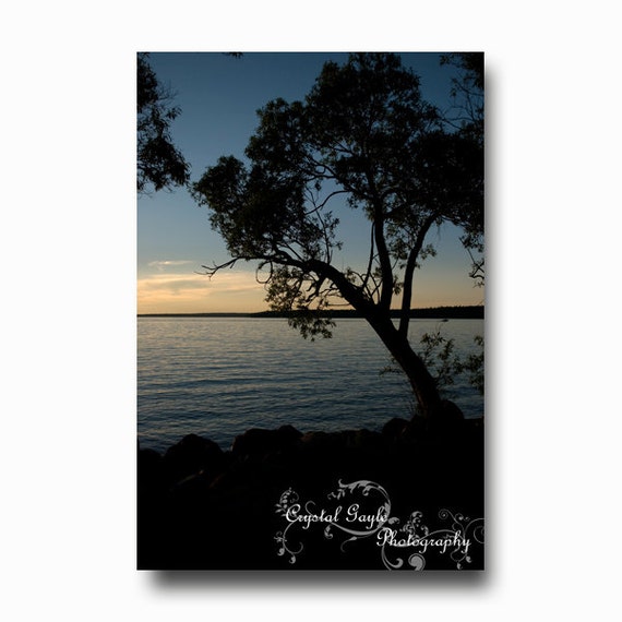 Sunset Silhouette Photography Tree Lake Beach Decor Black Blue Orange Wall Decor Tree, Nature Themed Wall Print, Home Staging Accent
