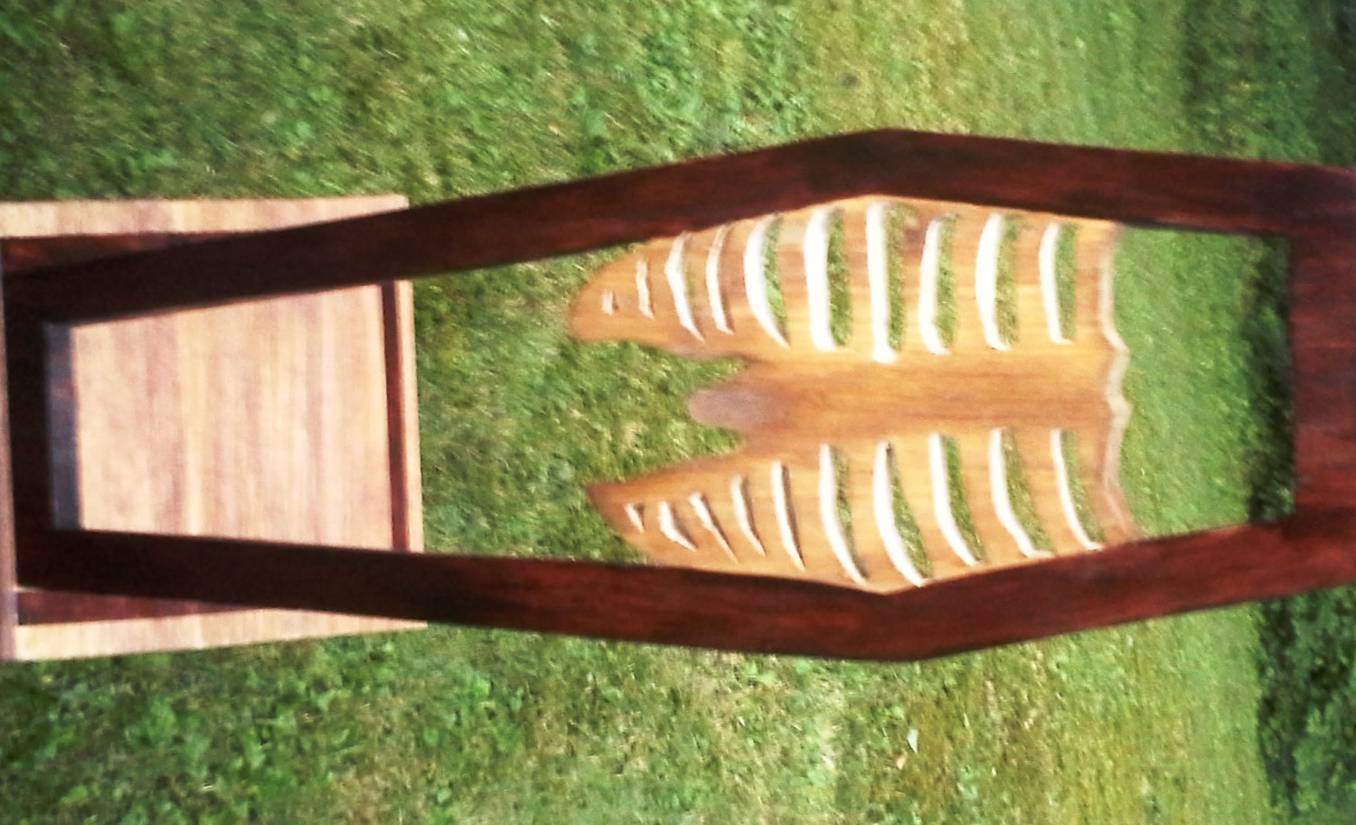 Rib Cage Chair