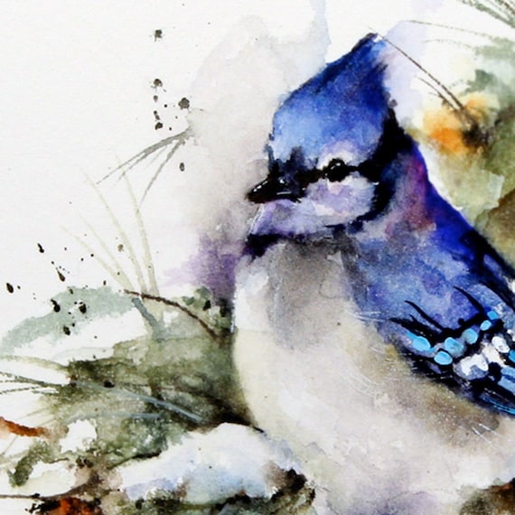 BLUE Jay Winter Watercolor Bird Art Print by Dean Crouser