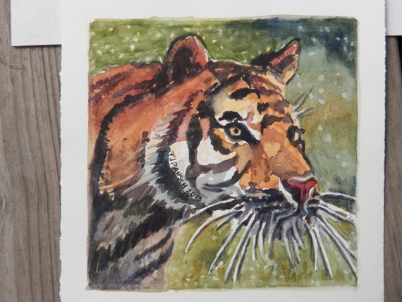 Original Watercolor Painting Zoo Animal Tiger Painting