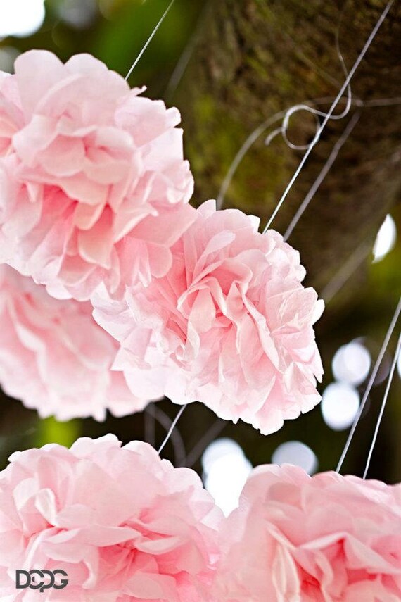 10 mini pom poms tissue paper pom poms mini poms Wedding