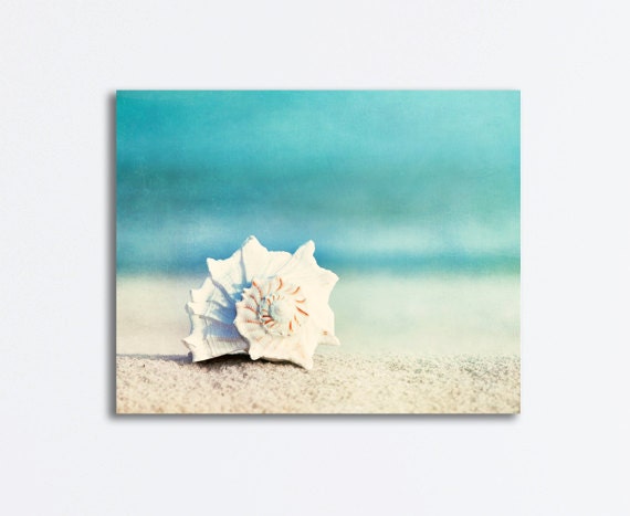 Beach Canvas Art  seashell  aqua blue shell  white gallery wrap