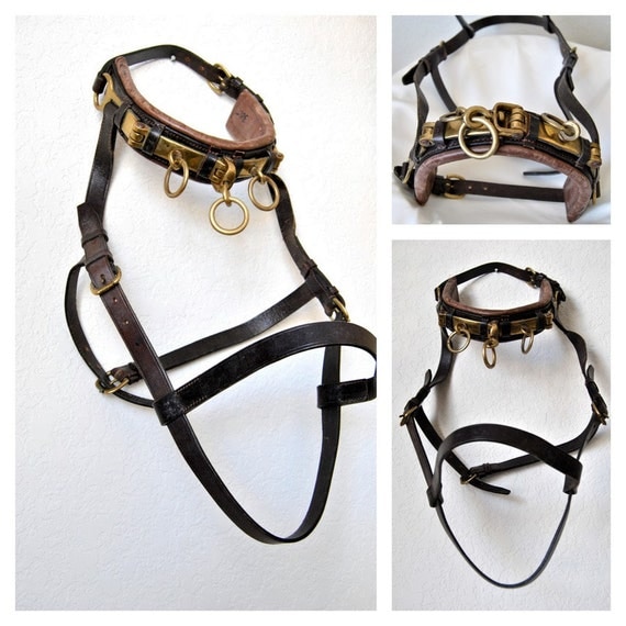 SALE Horse Leather Pony Lunging Halter Saddle Harness