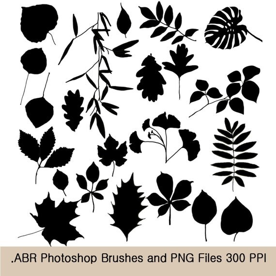 camera clip art brushes photoshop - photo #16