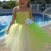 adult princess and the frog halloween costume