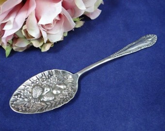 Vintage Potter Fruit Embossed Spoon - Lovely